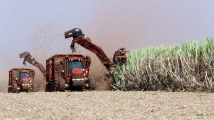 Brasil está alheio ao açúcar em Nova York. Agora, é problema dos asiáticos
