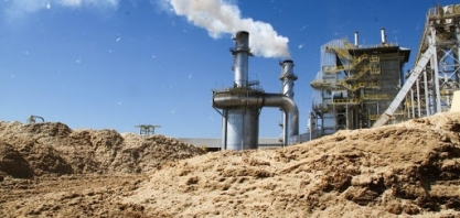 Crescem as exportações do agronegócio mineiro