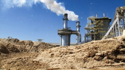 Crescem as exportações do agronegócio mineiro