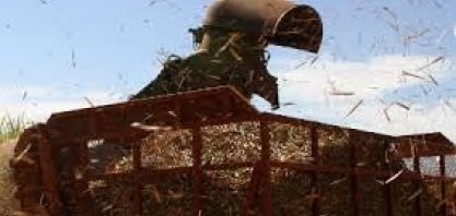 Setor compensa perdas no etanol com açúcar