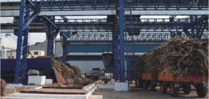 Índia acerta exportações de 5,2 mi t em açúcar, mas espera vendas de 6 mi 