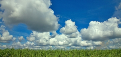 Unica, CTC, TempoCampo e Linear lançam relatório com condições de colheita e clima