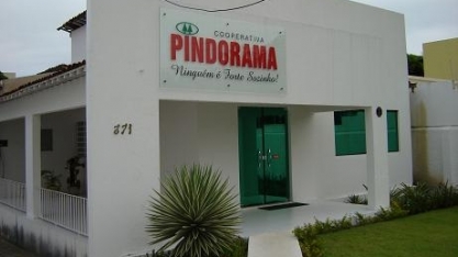 Pindorama faz testes com aplicação de fertilizante foliar