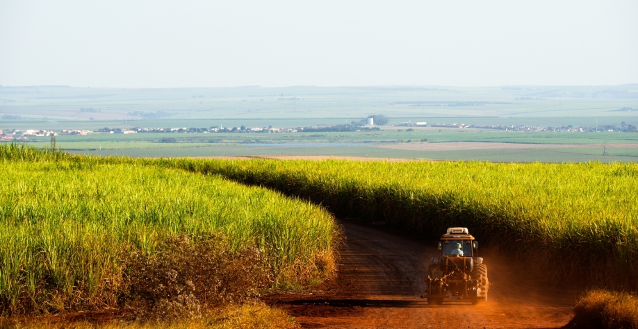 O Programa Cultivar visa oferecer as melhores soluções para seus parceiros produtores em toda sua jornada de negócios