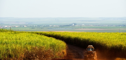 Com Programa Cultivar, Raízen contribui para geração de valor ao agronegócio brasileiro