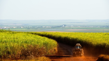 Com Programa Cultivar, Raízen contribui para geração de valor ao agronegócio brasileiro