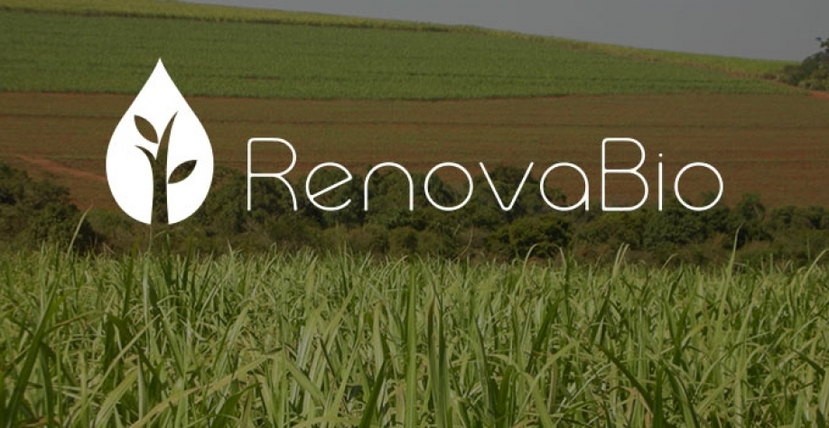 RenovaBio será fruto de investimentos por meio da comercialização dos Cbio. Foto: reprodução.