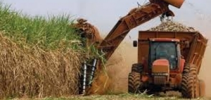 Novos players fomentam otimismo na cadeia de combustíveis