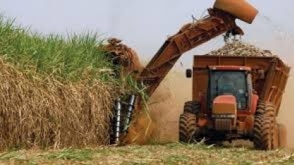 Novos players fomentam otimismo na cadeia de combustíveis