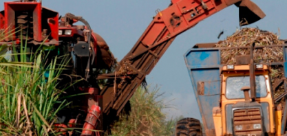 Minas Gerais já moeu quase 40% da cana-de-açúcar prevista para a safra 20/21