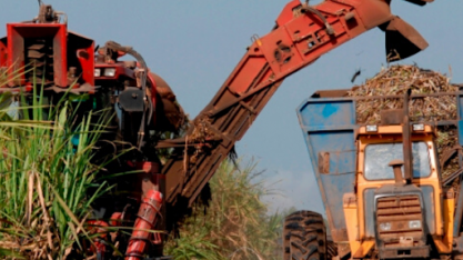 Minas Gerais já moeu quase 40% da cana-de-açúcar prevista para a safra 20/21