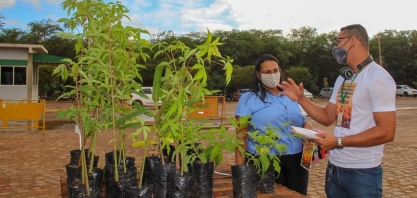 Projeto da Agrovale completa 12 anos com a doação de mais de 300 mil mudas da Caatinga