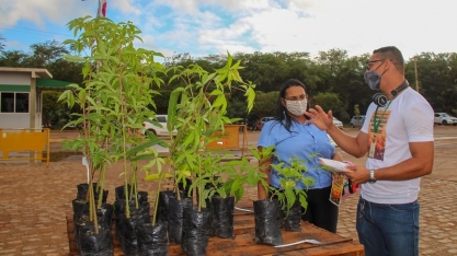 Projeto da Agrovale completa 12 anos com a doação de mais de 300 mil mudas da Caatinga