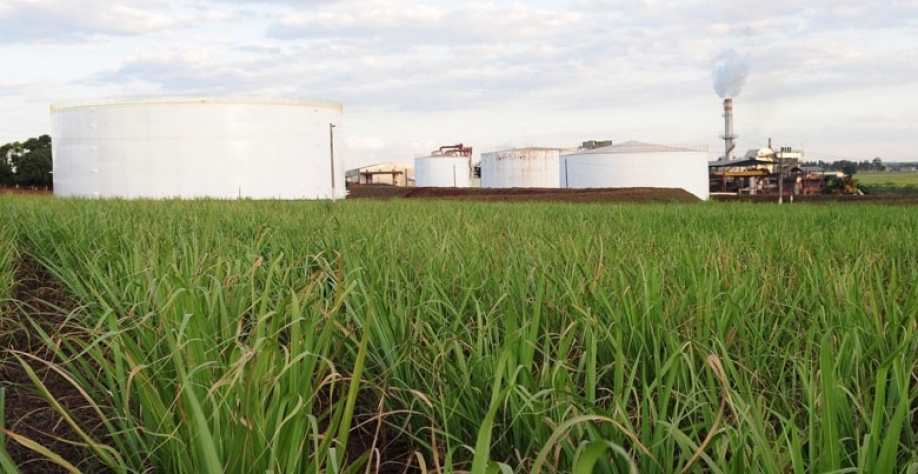 Cenário trazido pelo coronavírus levou as usinas do Centro-sul do Brasil a aumentar o direcionamento de cana para a produção de açúcar em relação à safra passada (Foto: Editora Globo)