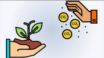 Ministério da Economia defende mercado de comercialização do crédito de carbono