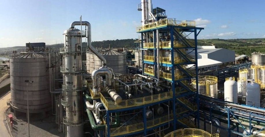 A GranBio foi fundada em 2011 (Foto: Divulgação site GranBio)
