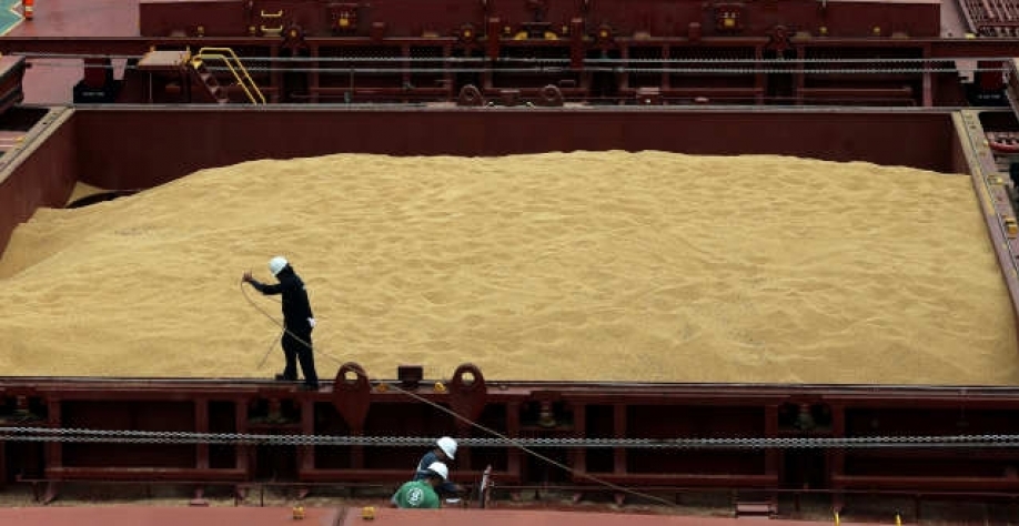 Preços para a soja brasileira cada vez mais interessam os de 2021 (Imagem: REUTERS/Paulo Whitaker)