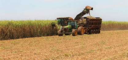 Com 12,4 milhões de toneladas, safra da cana-de-açúcar tem início mais lento