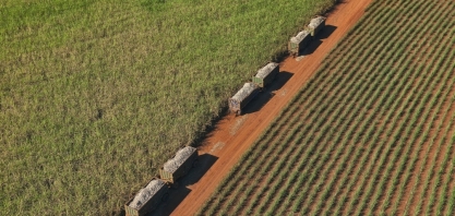 Moagem de cana-de-açúcar totaliza 42,93 milhões de toneladas na segunda quinzena de junho