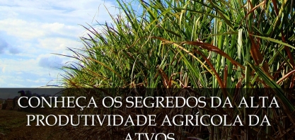 CanaOnline realiza live com o diretor agrícola da Atvos nesta quarta-feira, às 19h30