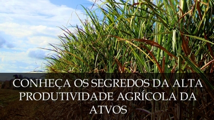 CanaOnline realiza live com o diretor agrícola da Atvos nesta quarta-feira, às 19h30