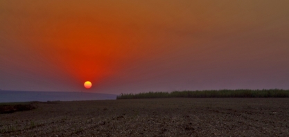 Cana Zoom: chuvas 40% abaixo da média favorecem concentração de ATR