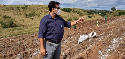 Produtor pode economizar até 20% com plantio de cana de baixa densidade