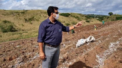Produtor pode economizar até 20% com plantio de cana de baixa densidade