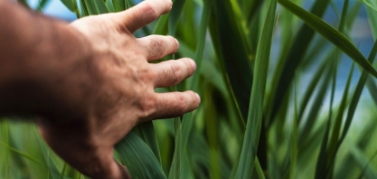 Cofco International lança seu terceiro relatório anual de sustentabilidade