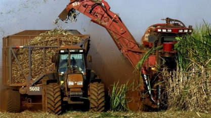 Produtor de cana-de-açúcar não precisará emitir nota fiscal quando destinar à indústria sucroalcooleira