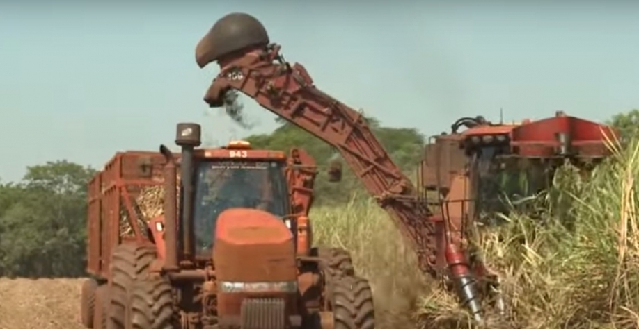 Foto: Reprodução de imagem