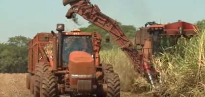 Tecnologias para o aumento da produção da cana-de-açúcar é tema do Dia de Campo na TV