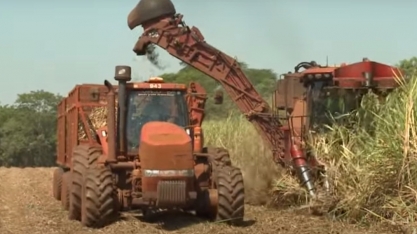 Tecnologias para o aumento da produção da cana-de-açúcar é tema do Dia de Campo na TV