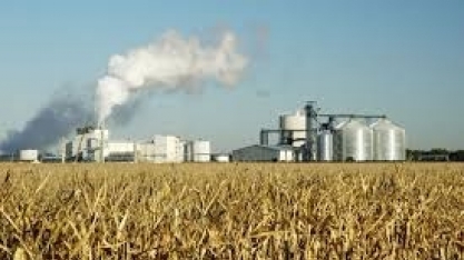 EUA: setor de etanol perdeu US$ 3,4 bilhões em receita por causa da pandemia