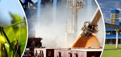 Bunge abre inscrições para programa de trainee com remuneração de R$ 6,5 mil