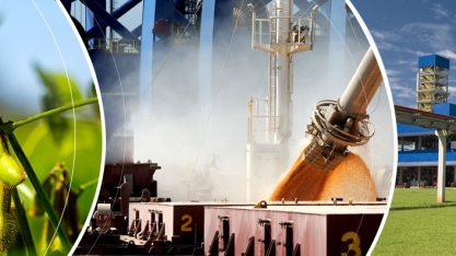Bunge abre inscrições para programa de trainee com remuneração de R$ 6,5 mil