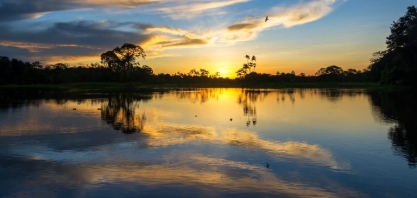 Em carta, empresários pedem a Mourão política de proteção à Amazônia