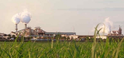 São Martinho: Planner enxerga maiores ganhos de produtividade à frente e reitera compra para ação