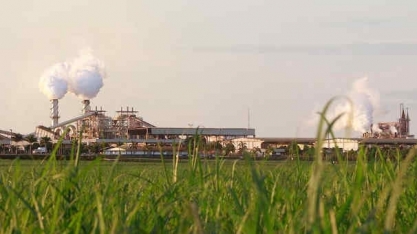 São Martinho: Planner enxerga maiores ganhos de produtividade à frente e reitera compra para ação