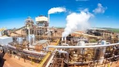 Pandemia emperra negócios com créditos de descarbonização na B3