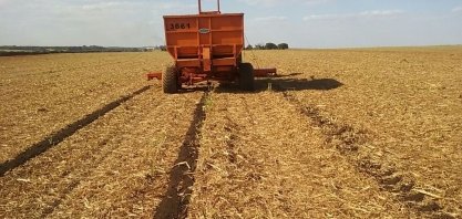 Torta de filtro diminui uso de adubo químico e favorece obtenção de CBios