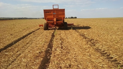 Torta de filtro diminui uso de adubo químico e favorece obtenção de CBios