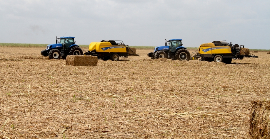 Decidir a quantidade de palhiço que as máquinas devem aleirar e enfardar no campo ainda é um fator que deve ser bem avaliado. 