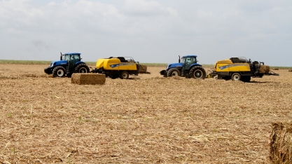 Recolhimento da biomassa da cana-de-açúcar