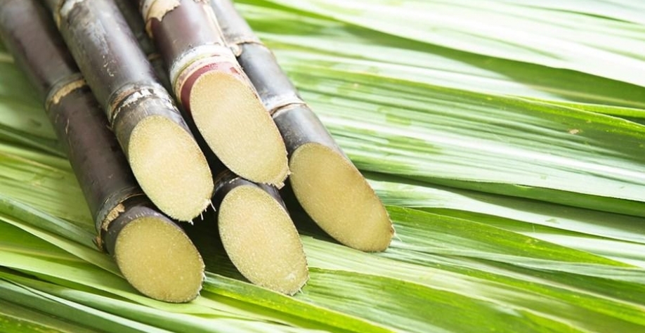 Imagem Ilustrativa, Foto: Reprodução