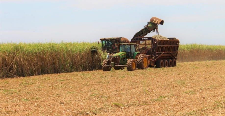 Neste ciclo 18 unidades estão em operação no Estado e iniciaram a moagem dentro dos respectivos cronogramas previstos. (Imagem: Divulgação/Biosul)