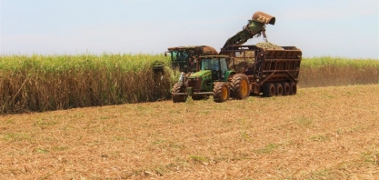 Safra da cana-de-açúcar tem início mais lento em MS