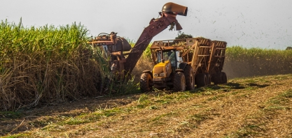 SENAR-PR realiza diagnóstico do plantio da cana-de-açúcar no Paraná