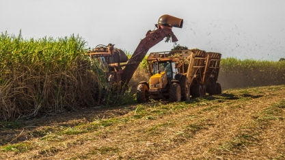 SENAR-PR realiza diagnóstico do plantio da cana-de-açúcar no Paraná