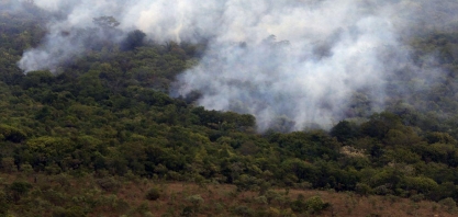 Decreto de suspensão de queimadas não afetará safra de cana em AL